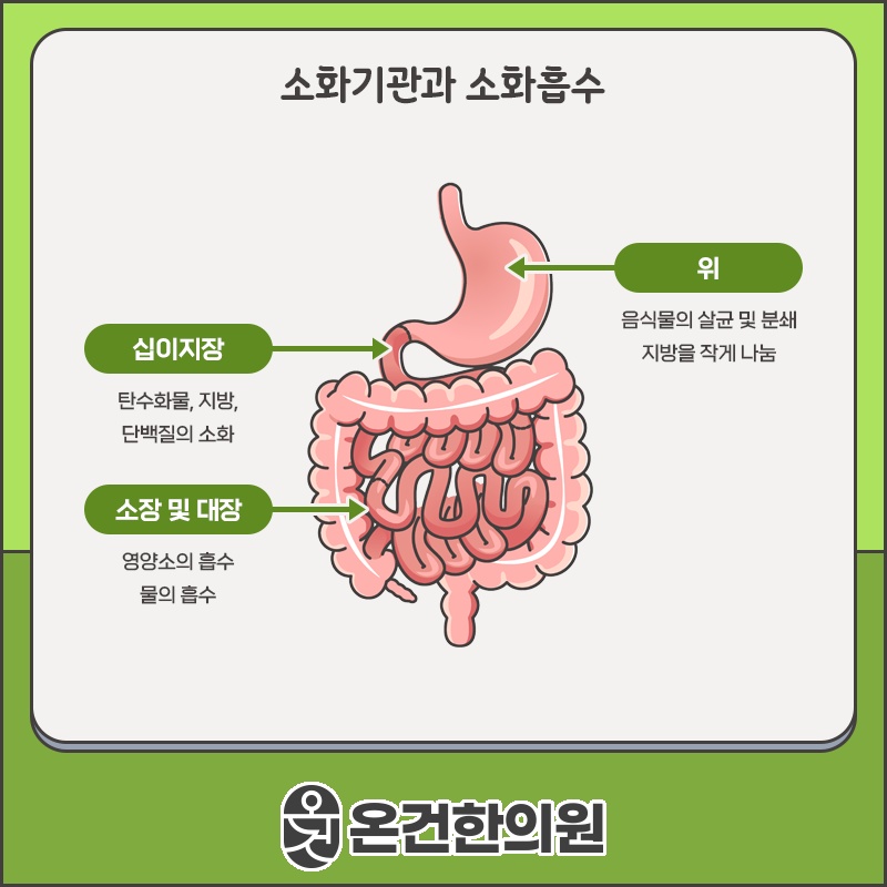 과민성대장증후군, 잦은 복통과 설사가 나타나는 이유