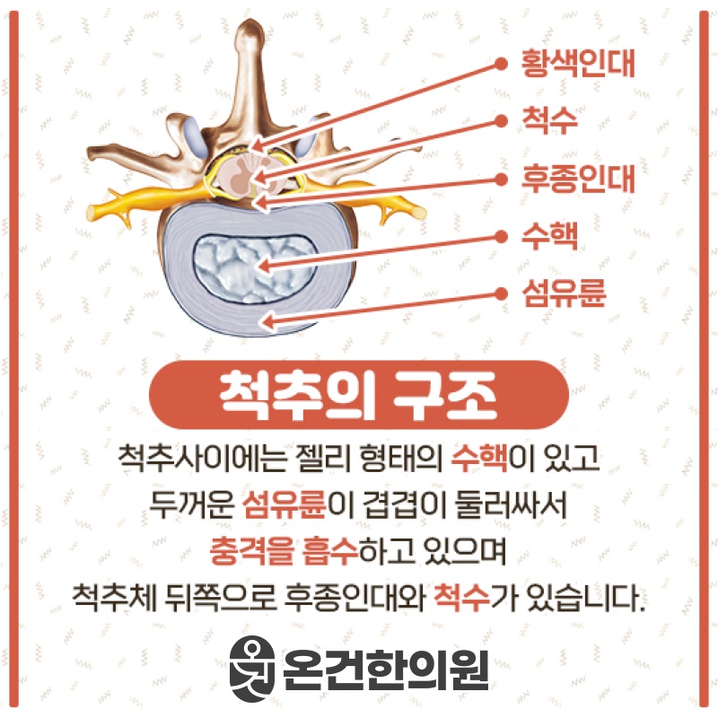 허리디스크 통증 완화를 위한 비수술적 관리 방법
