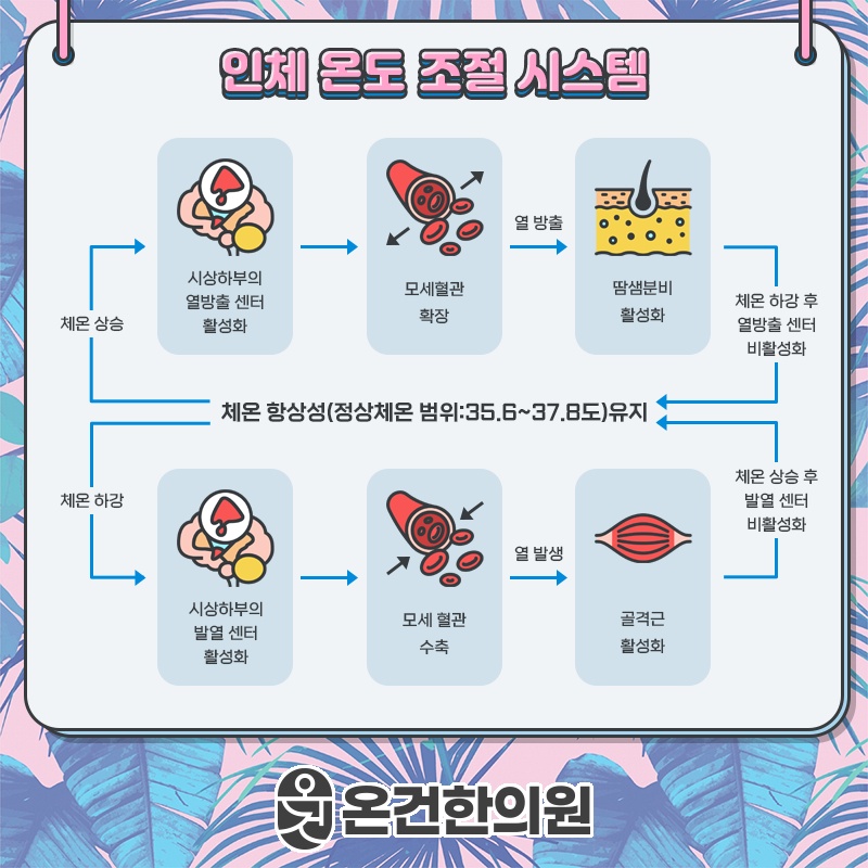 수족냉증이 생기는 원인과 손발 시림 점검하기